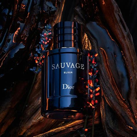 dior elixir parfum|dior sauvage elixir best price.